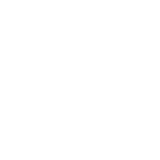 SJ Freight Services